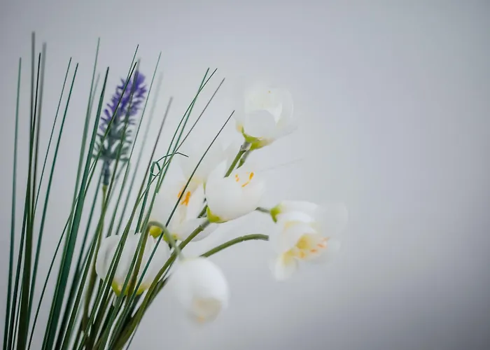 Bellissima 2 Minutes Away From The * Несебр